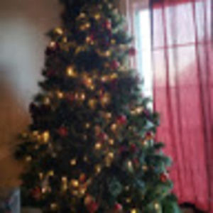 Meet your Posher, Dynamic